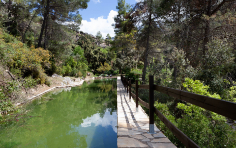 Un experiencia natural